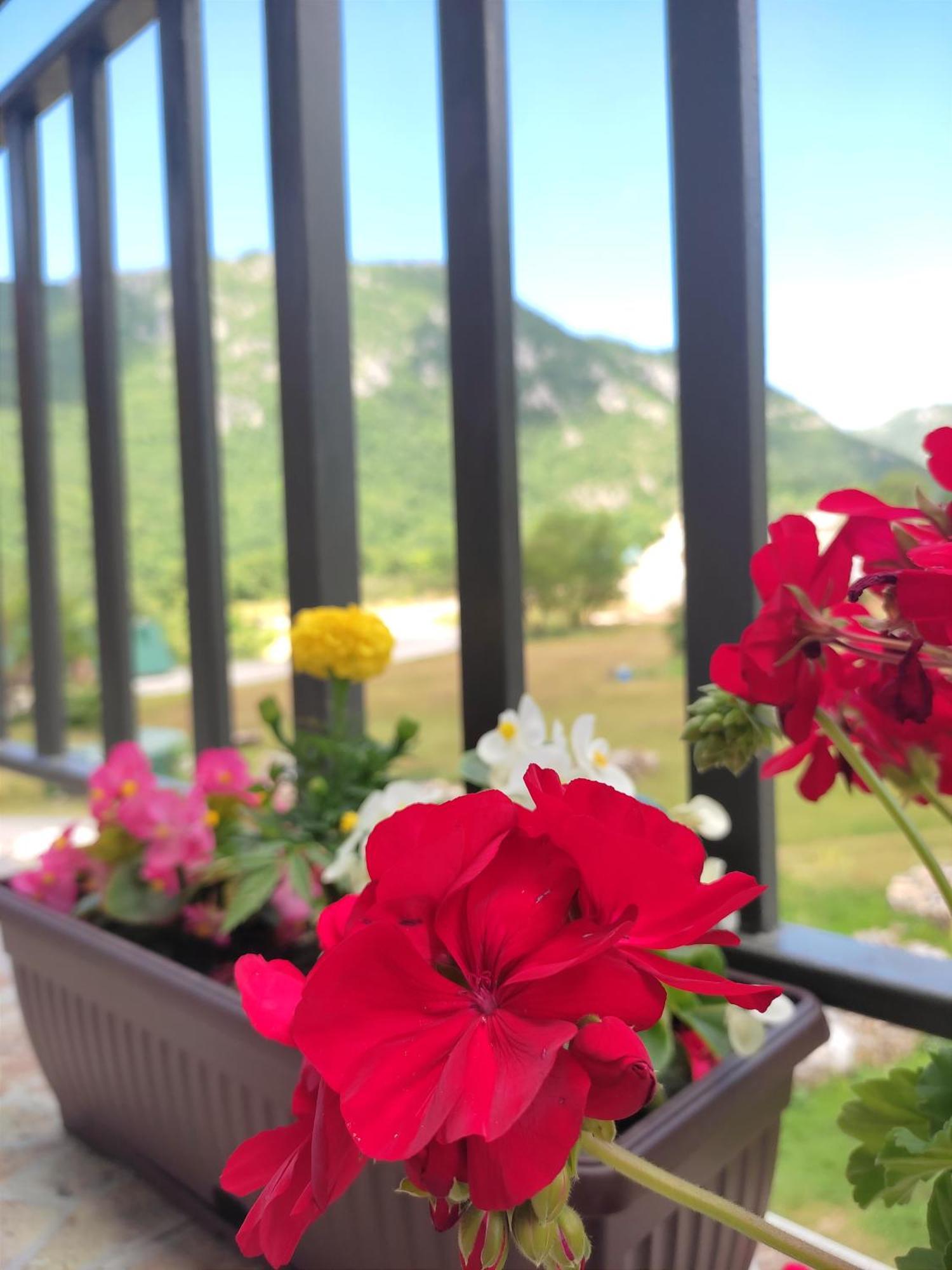 Apartment La Casa Plužine Ngoại thất bức ảnh