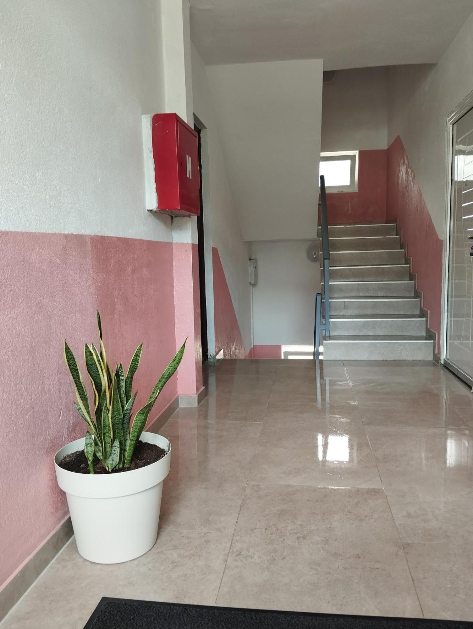 Apartment La Casa Plužine Phòng bức ảnh